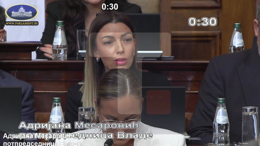 Mesarović: Država će se boriti za još veći životni standard