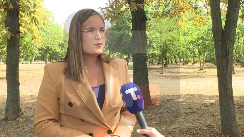 Pavkov: Zbog najavljene košave,sve službe u stanju pripravnosti u Deliblatskoj peščari