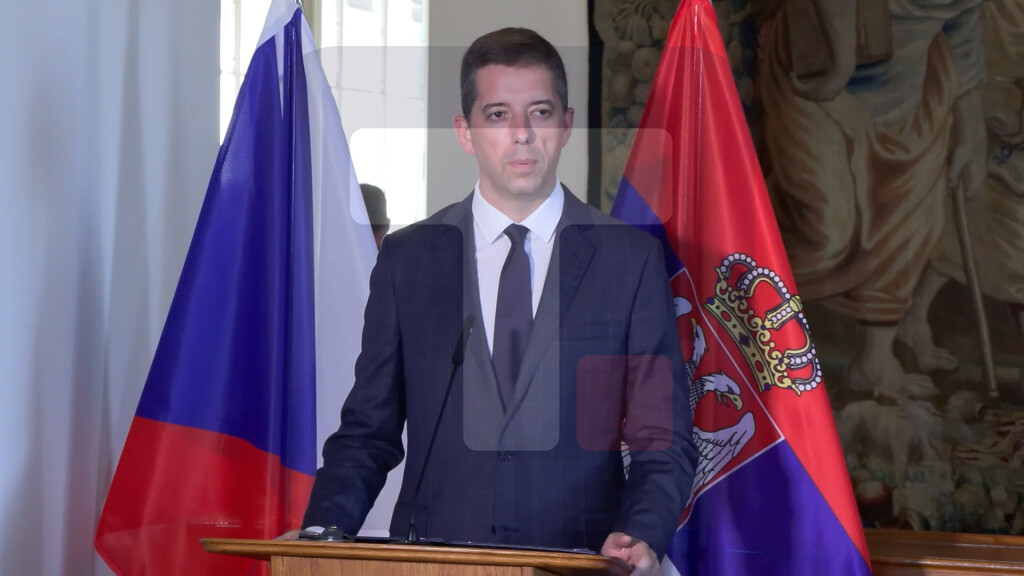 Đurić: Ekonomije Srbije i Češke razvijaju se rame uz rame
