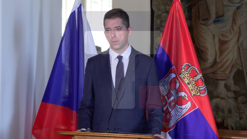 Đurić: Prijateljstvo Srbije i Češke zasnovano je na velikoj istoriji i budućnosti
