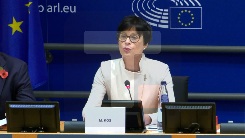 Kos: Samo ako se završi ujedinjenje EU mogu da se obezbede mir,sloboda i prosperitet