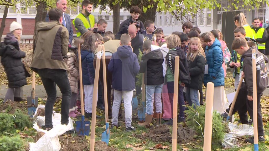Posađeno 50 stabala Pančićeve omorike u dvorištu  OŠ "Duško Radović"