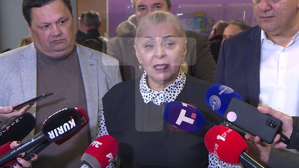 Sofronijević: Zakon ima jasno izražnu socijalnu komponentu, štiti se dom i porodica