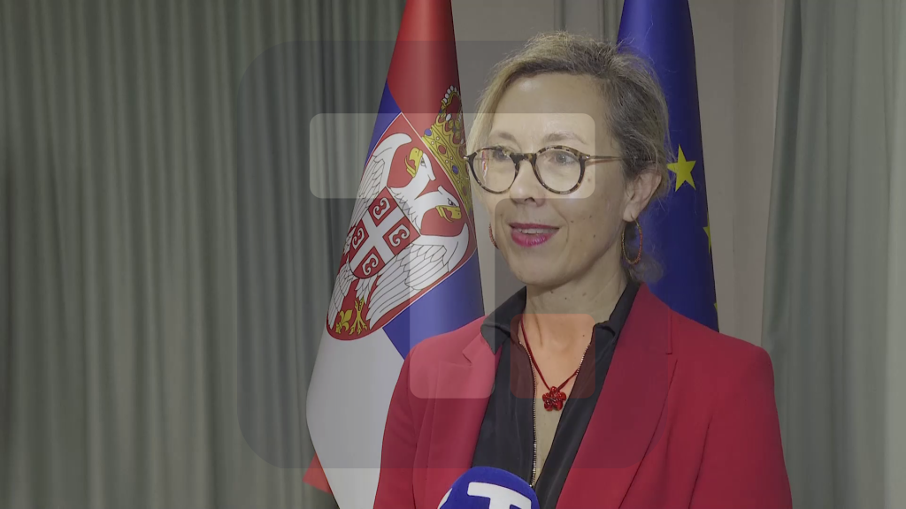 Ferari: Partnerstvo Srbije i Francuske je veoma važno