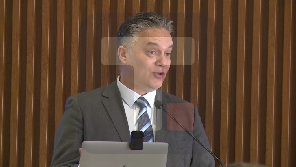 Ćorović: Pad prodaje komercijalnih vozila