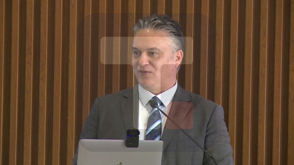 Ćorović: Predložili smo uvđenje zelenih tablica za električne automobile