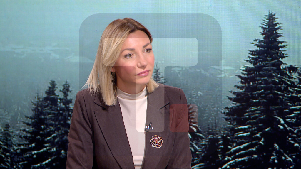 Macura: Potrebno više razgovarati sa mladima o odluci da postanu roditelji