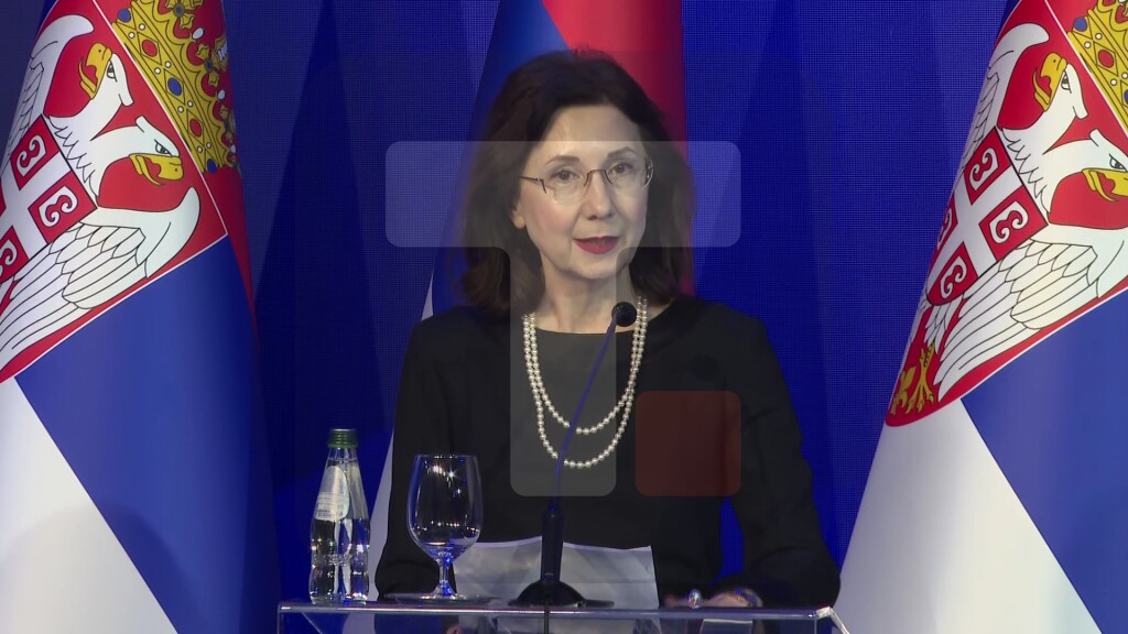 Mitrović: Vizija Srbije svima nama mora biti zajednička, ne smemo nikome pokloniti ni prodati našu zemlju