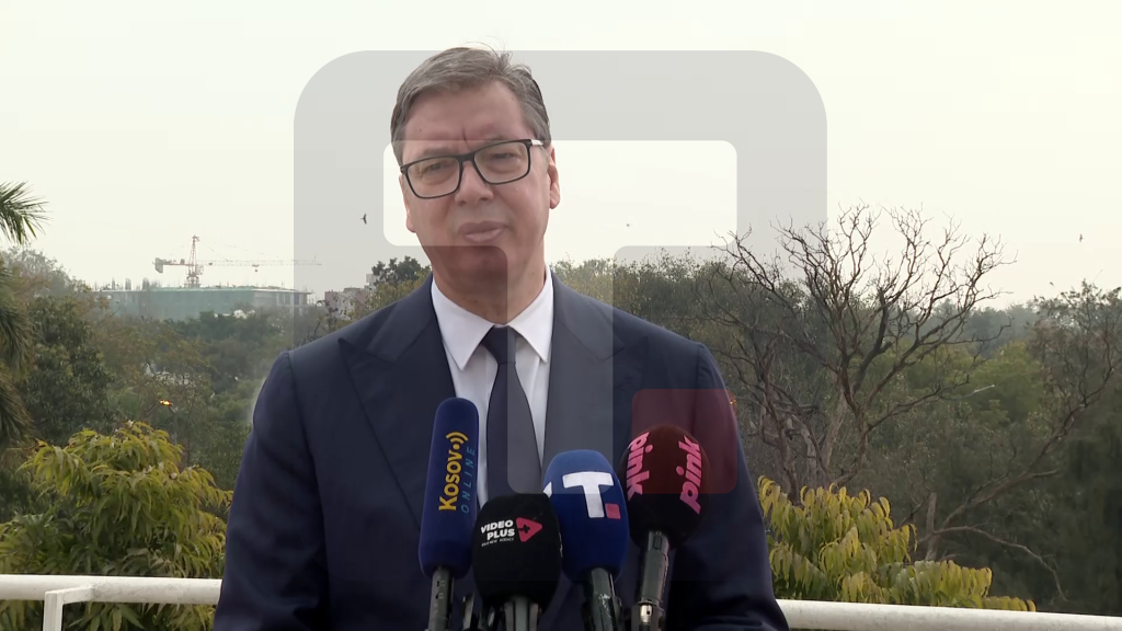 Vučić: Moramo da nađemo modalitete za lakši ulazak indijskih građana