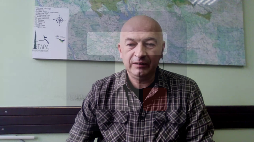 Đurić: Bukove šume su najzastupljenije, a za nominaciju je važan stepen zaštite