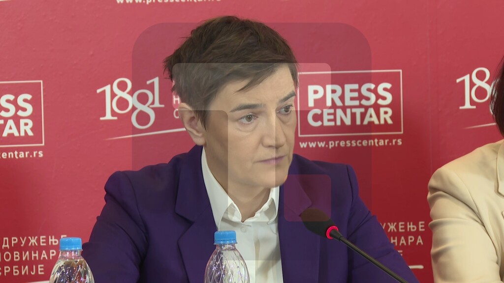 Brnabić: Bili smo možda više kritikovani tada nego što smo sada sa ovim setom pravosudnih zakona