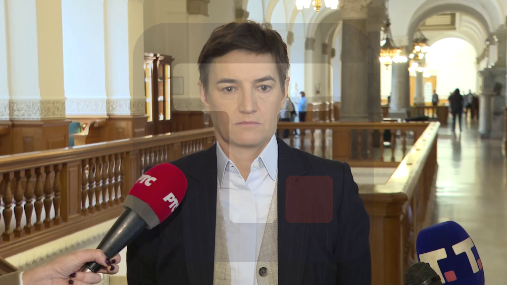 Brnabić: Zelena agenda je oblast od velikog interesa i važna za razvoj Srbije