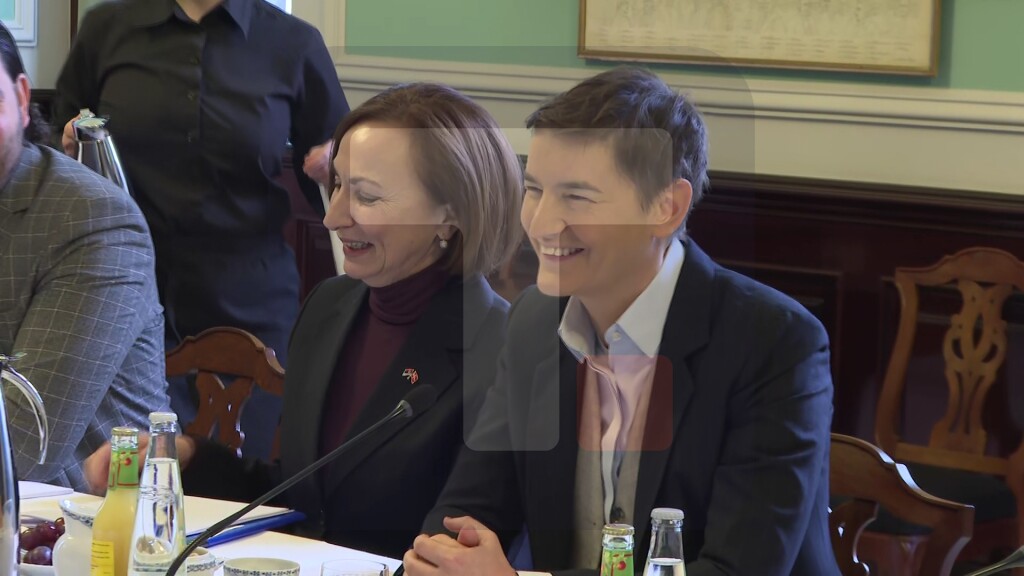 Brnabić na sastanku u Danskoj