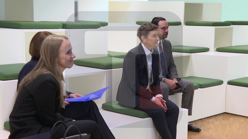 Brnabić posetu Danskoj započela sastankom sa stručnjacima iz oblasti zelene agende