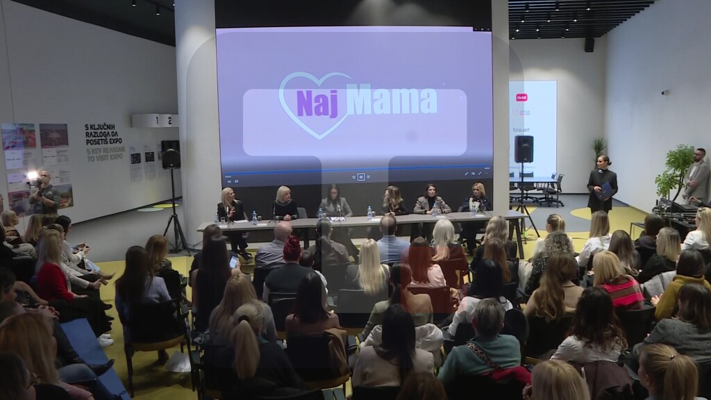Konferencija o podršci države majkama i deci posle razvoda