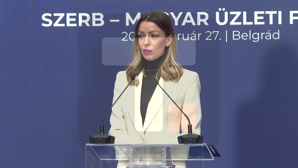 Mesarović: Činimo sve što obezbeđuje preduslove za intenziviranje ekonomske saradnje Mađarske i Srbije