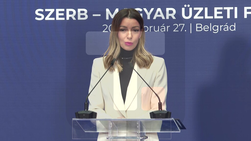 Mesarović: Sa Mađarskom imamo dobru osnovu za saradnju u oblasti prerađivačke industrije