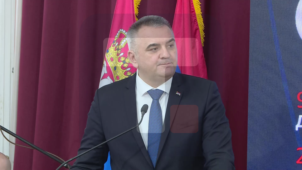 Minić: Bez državne organizacije narod ostaje nezaštićen