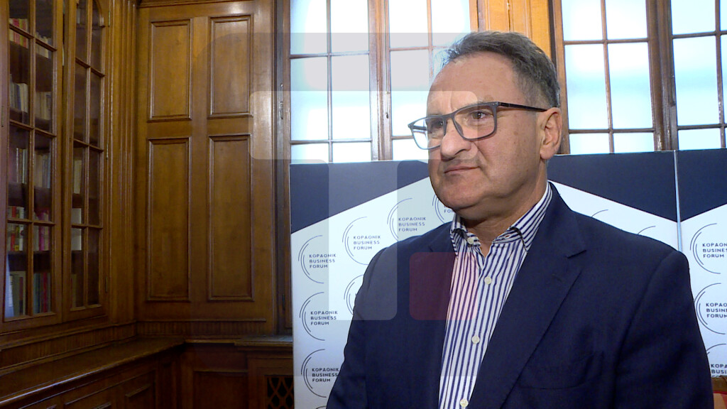 Vlahović: Fokus na pronalaženju modela za dugoročni rast Srbije