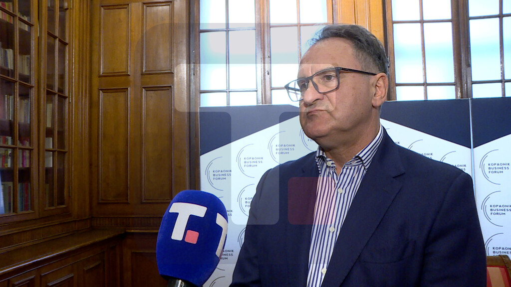 Vlahović: Odluka EU o zabrani uvoza ruskog gasa neće negativno uticati na njihovu ekonomiju, nemačka privreda platila najveću cenu takve politike