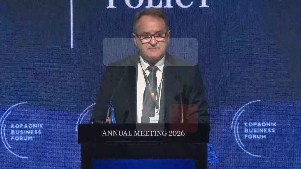 Vlahović: Važno je da država aktivnim industrijskim politikam usmerava strane direktne investicije ka naprednim privrednim granama