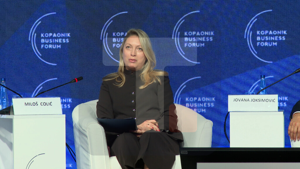 Joksimović: Investicioni ciklus u poslednje četiri godine kada je reč o obnovljivim izvorima energije je jako intenzivan