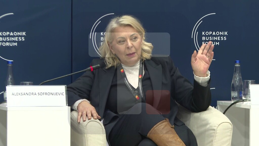 Sofronijević: Država pored toga što ulaže u puteve u koje niko nije uložio ni dinara 50 godina, bavi se i izradnjom kičmenih putnih pravaca