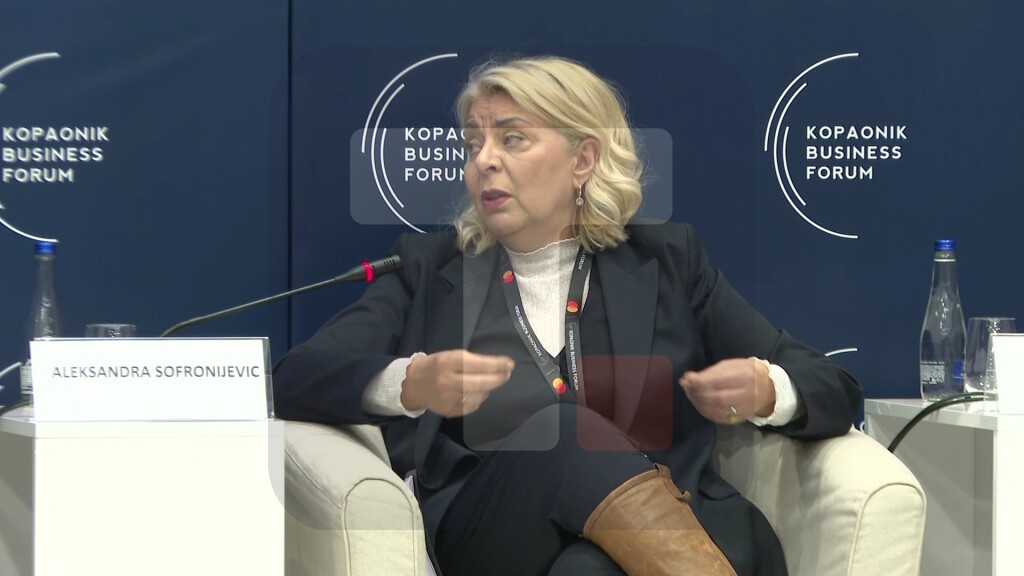 Sofronijević: Silni kilometri putnih i železničkih pravaca koje smo izgradili i koje planiramo nisu kraj našeg unapređenja Srbije