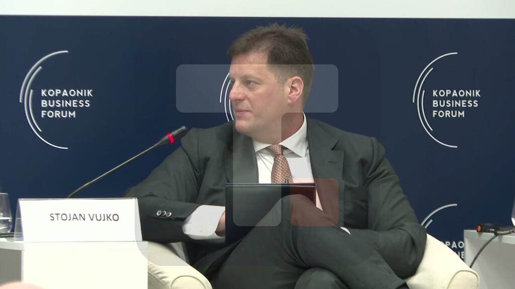 Vujko: Živimo u vremenu najvećeg investicionog ciklusa u poslednjih 50 godina