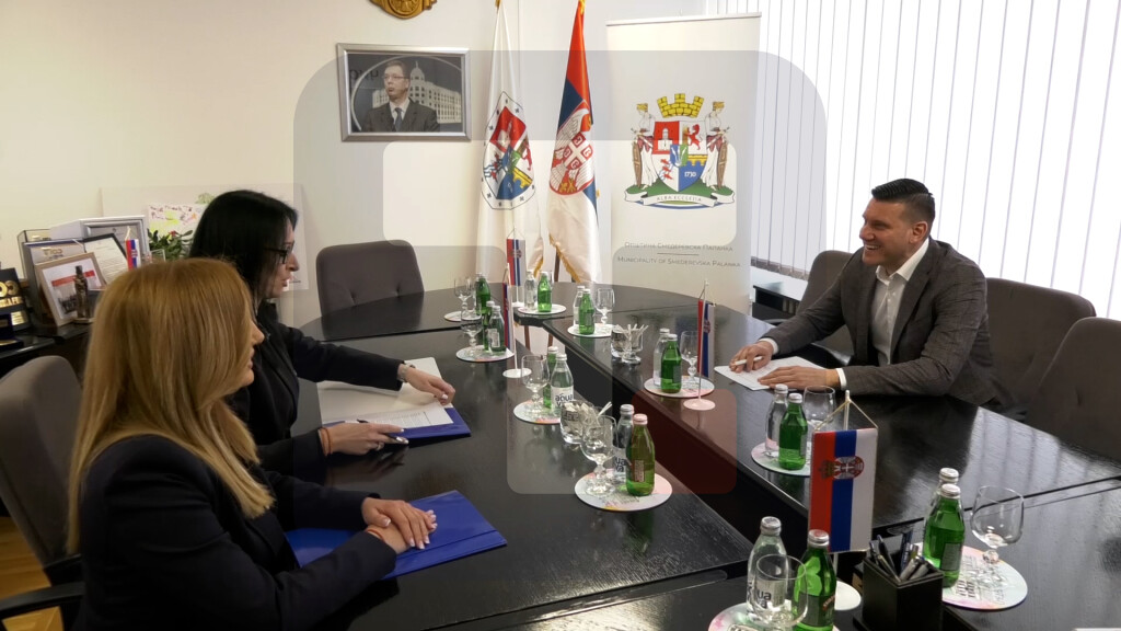 Ministarka Jelena Žarić Kovačević u poseti Smederevskoj Palanci