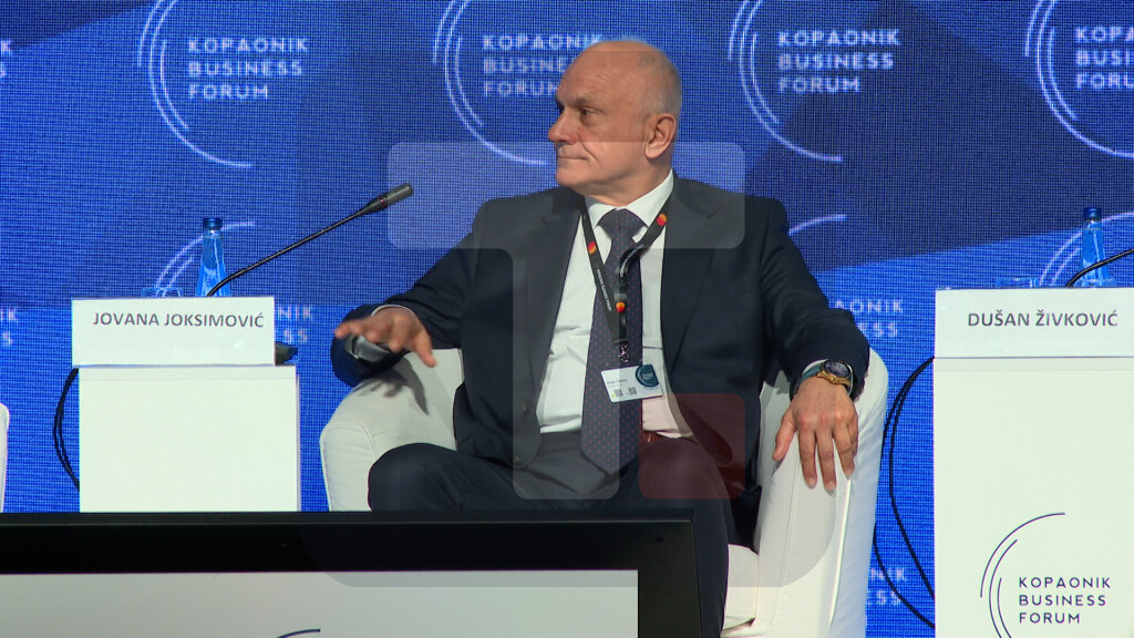 Živković: Trenutni put profita će stvoriti da investicije mogu da budu realne bez velikog opterećenja za kompaniju