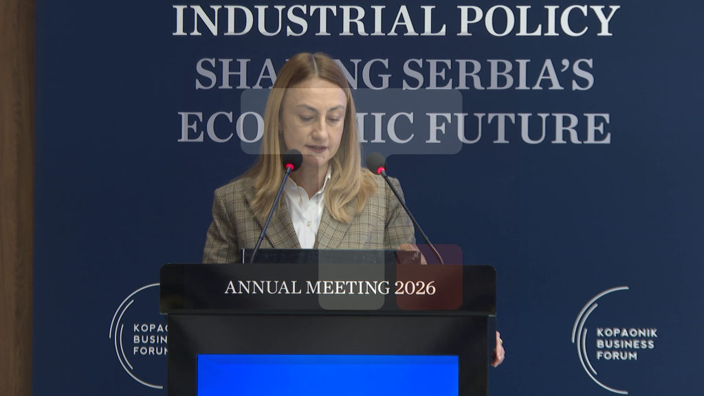 Kostadinova: Nije u pitanju samo školstvo već unapređenje njihovih veština