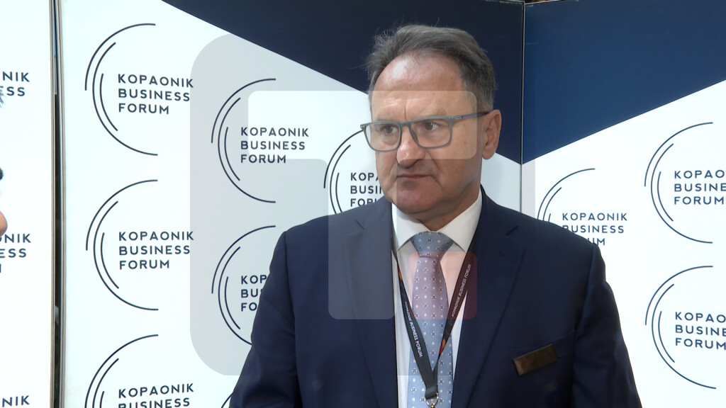 Vlahović: Sankcije NIS-u nisu dobro uticale na ekonomiju Srbije