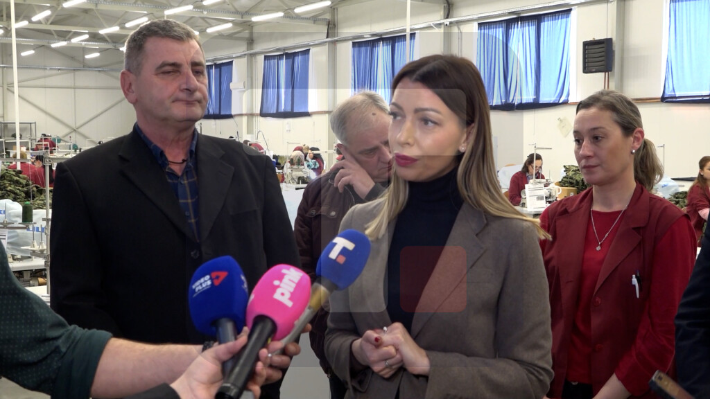 Mesarović: Uskoro ćemo na inicijativu predsednika raspisati program za povratnike