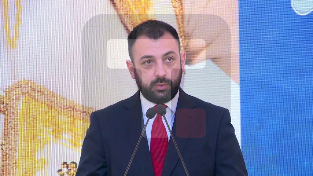 Milovanović: Žensko preduzetništvo nije samo homogena kategorija