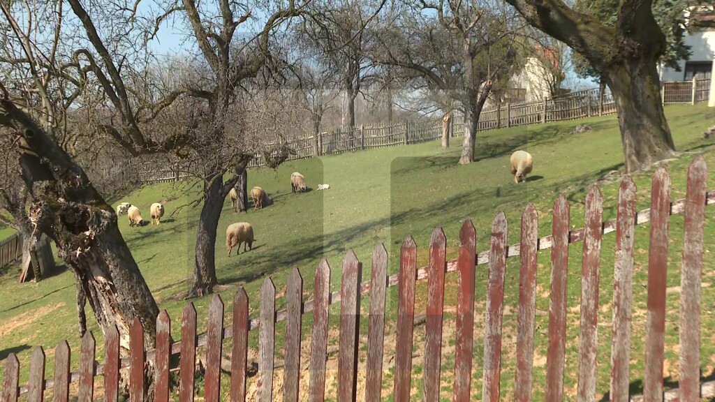 Domaćinstvo Raković u Sevojnu
