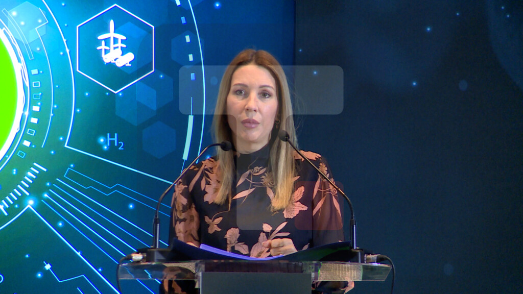 Đedović Handanović: Srbija se priprema za primenu zelenog vodonika u industriji i transportu