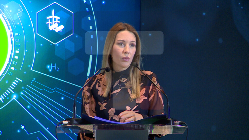 Đedović Handanović: Moramo da razmišljamo i integraciji obnovljivih izvora energije u energetski sistem