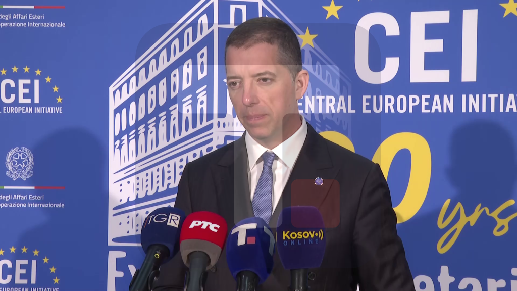 Đurić: CEI platforma je za nas važna, želimo da održavamo dobre odnose