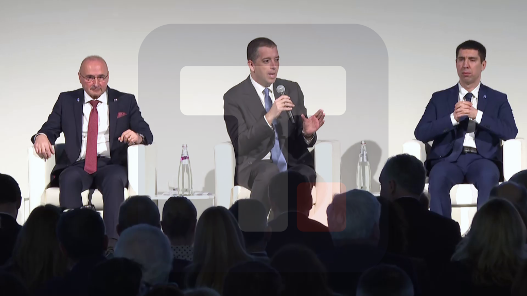 Đurić: Srbija želi članstvo u EU i svesna je neophodnosti sprovođenja reformi