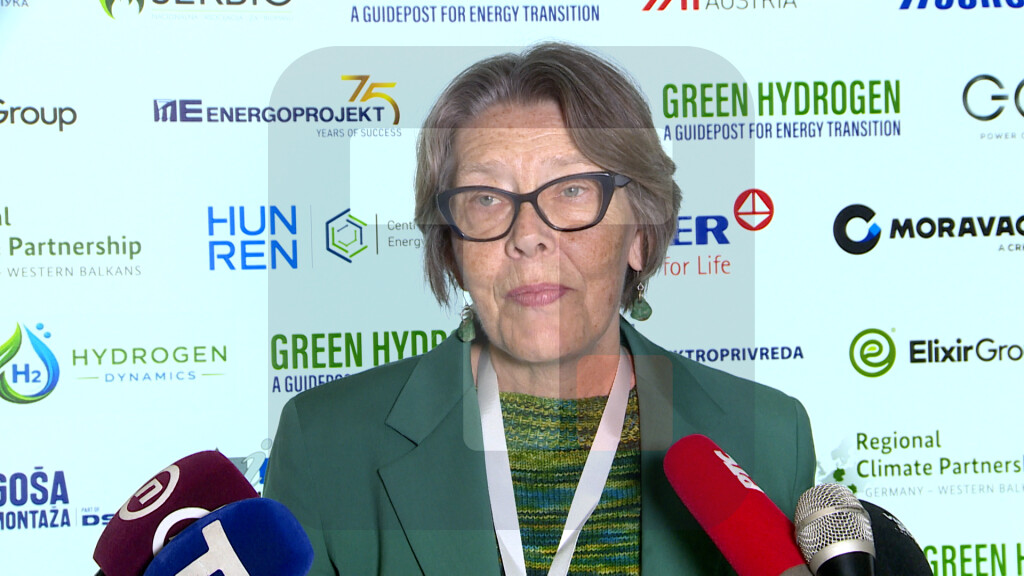 Kardel: Zeleni vodonik je značajan i za zelenu tranziciju i za energetske rezerve