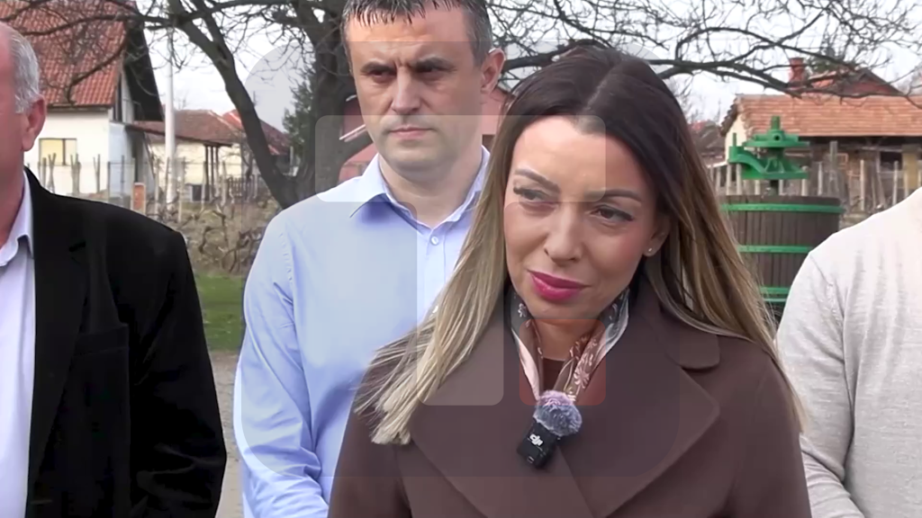 Mesarović: Do 10 miliona bespovratnih sredstava za vinare