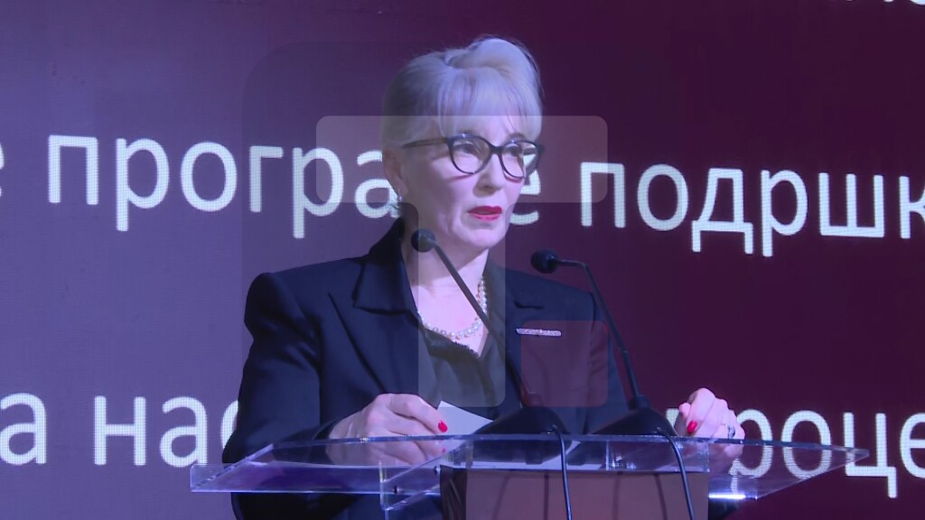 Lazarević: Srbija uskoro dobija prvu fabriku naprednih dronova