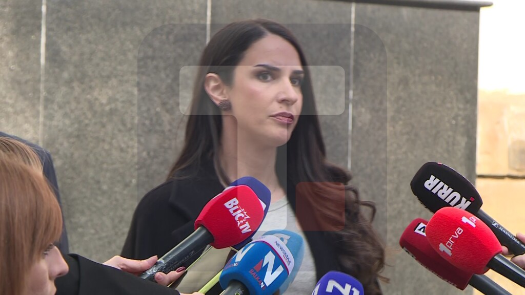 Borović: Na suđenju Kecmanovićima 11. maja će biti izvedena pisana dokumentacija, foto i video snimci