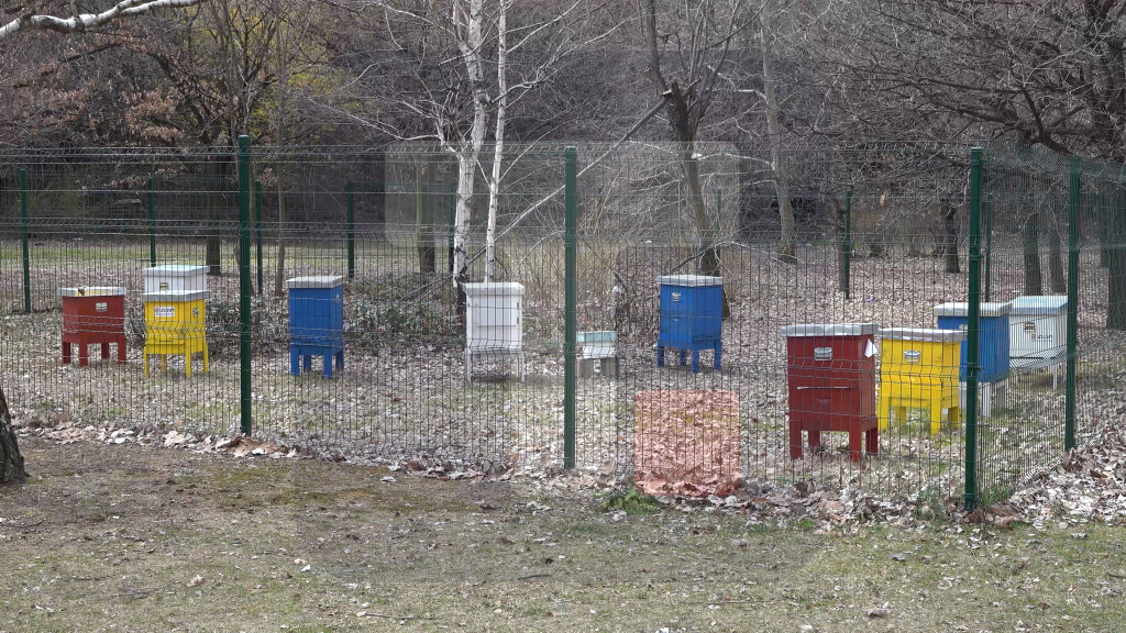 Pavkov obišla košnice u gradskom parku u Boru