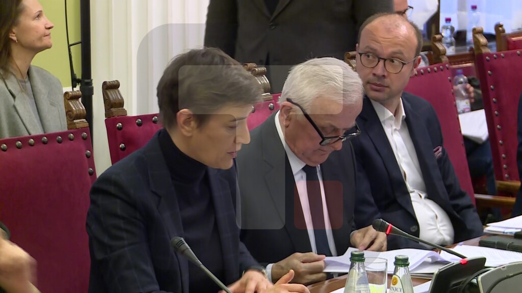 Brnabić: Deluje da vi pokušavate da svaku tragediju prvo zloupotrebite