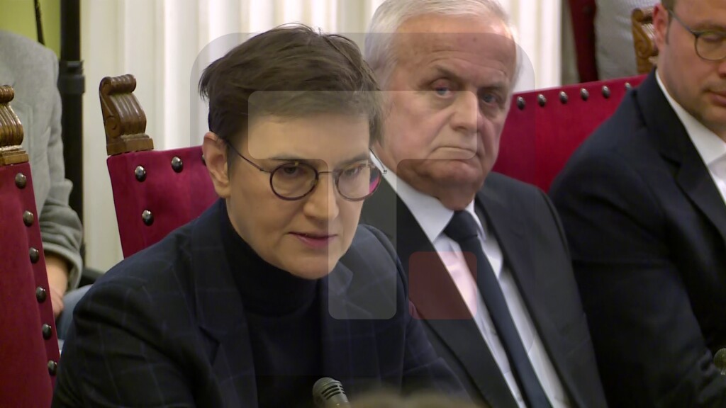 Brnabić: Pitanje je poštovanje zakona, a zakoni su vrlo jasni