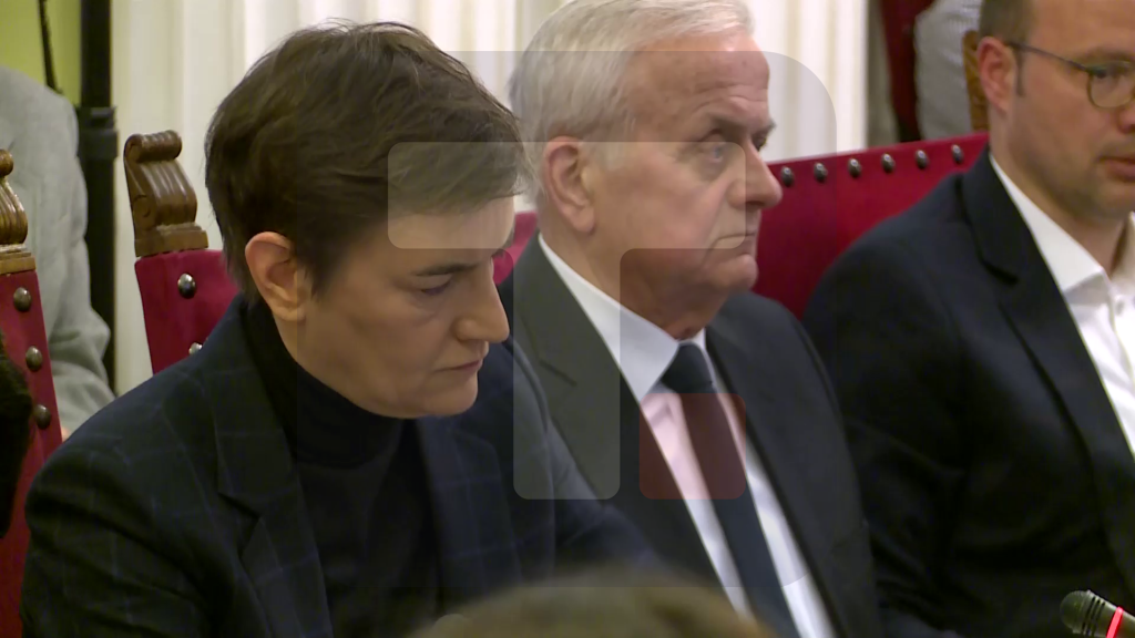 Brnabić: Dakle vi ne želite Narodnoj Skupštini RS i Odboru za prosvetu date odgovore na ova pitanja