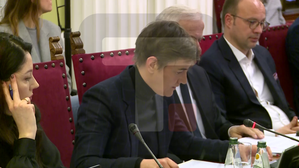 Brnabić: Ta telefonska linija je pre svega bila za roditelje