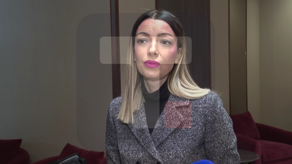 Mesarović: Kineski investitori u našoj zemlji kontinuirano reinvestiraju i imaju nova ulaganja